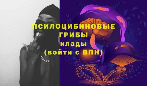 трава Аркадак