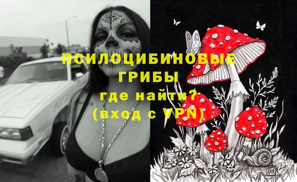 трава Аркадак
