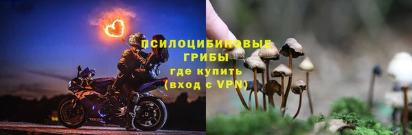 spice Арсеньев