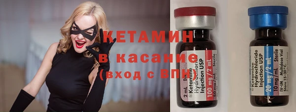 трава Аркадак