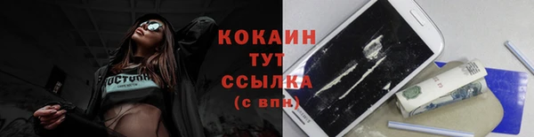 трава Аркадак