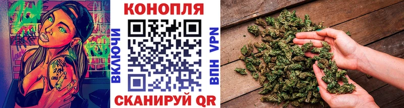 Канабис сатива  Райчихинск 